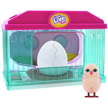 Load image into Gallery viewer, Little Live Pets Surprise Chick Hatching House Playset
