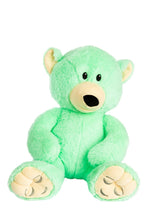 Load image into Gallery viewer, Mood Bears Calm Bear