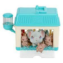 Load image into Gallery viewer, Little Live Pets - Mama Surprise Minis: Lil' Mouse