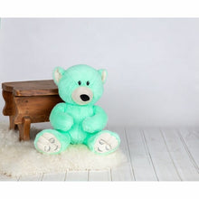 Load image into Gallery viewer, Mood Bears Calm Bear