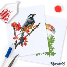 Load image into Gallery viewer, Figured’Art Colourful Birds Paradise Gem Painting Kit