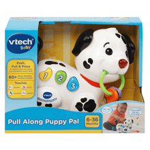 Load image into Gallery viewer, Vtech Pull Along Puppy Pal