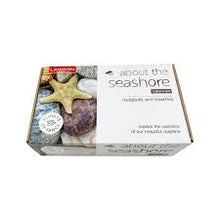 Load image into Gallery viewer, ABOUT THE SEASHORE KIT