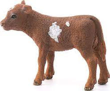 Load image into Gallery viewer, Texas Longhorn Calf