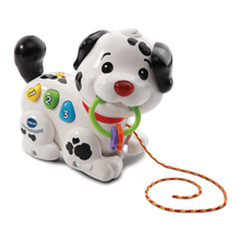 Load image into Gallery viewer, Vtech Pull Along Puppy Pal
