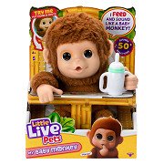 Load image into Gallery viewer, Little Live Pets My Baby Monkey

