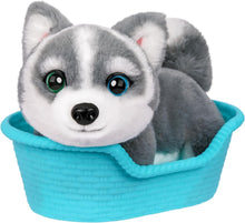 Load image into Gallery viewer, Little Live Pets My Really Real Puppy Aurora the Husky Interactive Plush
