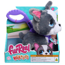 Load image into Gallery viewer, furReal 8 Inch Walk A Lots Frenchie Interactive Soft Toy

