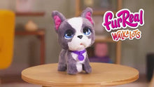 Load image into Gallery viewer, furReal 8 Inch Walk A Lots Frenchie Interactive Soft Toy
