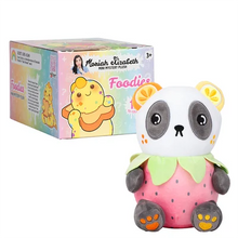 Load image into Gallery viewer, MORIAH ELIZABETH MINI MYSTERY PLUSH CDU-
