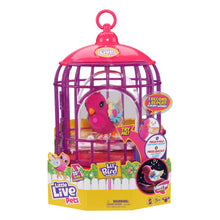 Load image into Gallery viewer, LITTLE LIVE PETS LIL BIRD + BIRDCAGE
