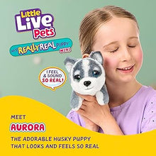 Load image into Gallery viewer, Little Live Pets My Really Real Puppy Aurora the Husky Interactive Plush
