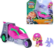 Load image into Gallery viewer, Paw Patrol The Dino Movie Skye Dino Rescue Jet
