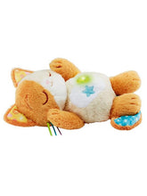 Load image into Gallery viewer, PAWS &amp; PURR KITTY
