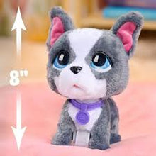 Load image into Gallery viewer, furReal 8 Inch Walk A Lots Frenchie Interactive Soft Toy

