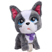 Load image into Gallery viewer, furReal 8 Inch Walk A Lots Frenchie Interactive Soft Toy
