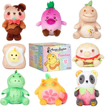 Load image into Gallery viewer, MORIAH ELIZABETH MINI MYSTERY PLUSH CDU-
